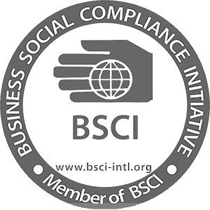 BSCIcertificate