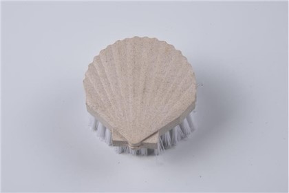 Bàn chải làm sạch vỏ